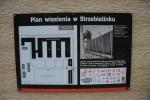 Zjazd strzebielinkowców